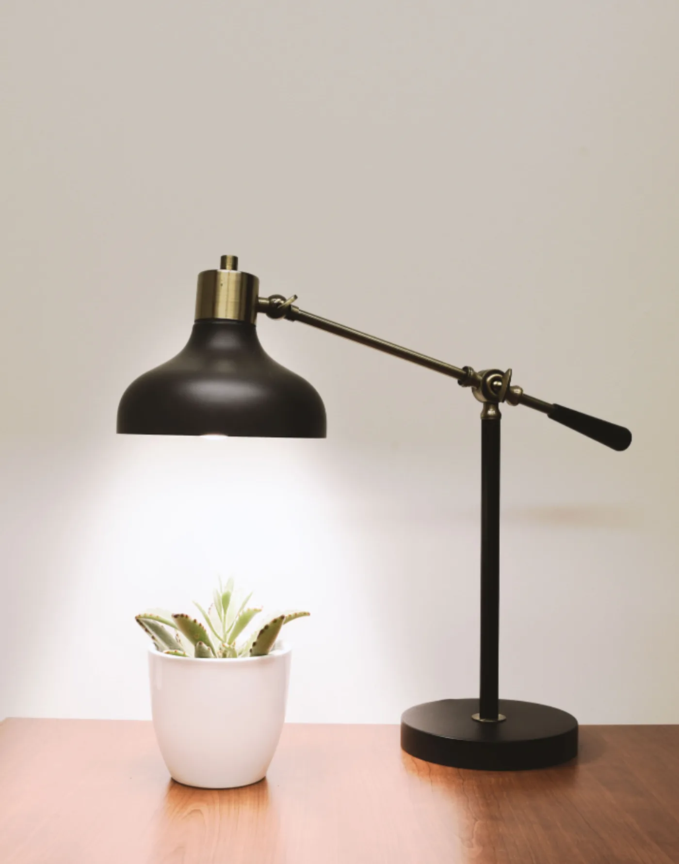Roshni Black Task Lamp